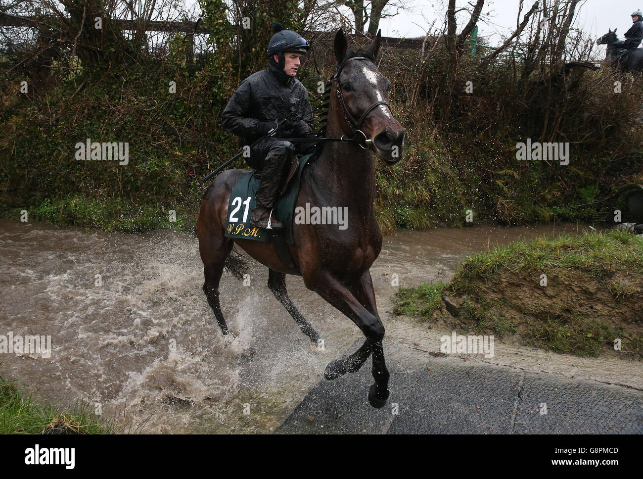 Visita alla stalla di Willie Mullins - Closutton. Jockey Ruby Walsh a bordo di min durante una visita alle scuderie di Willie Mullins a Closutton, Carlow, Irlanda. Foto Stock