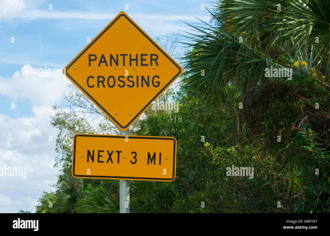 Everglades della Florida segno univoco di Panther incrocio vicino Big Cypress National Preserve Foto Stock