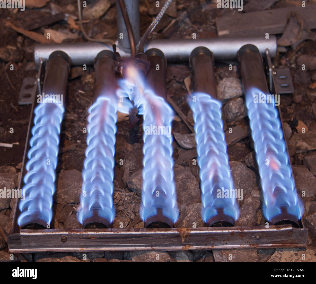 Blue fiamma di un bruciatore di gas dalla caldaia Foto Stock