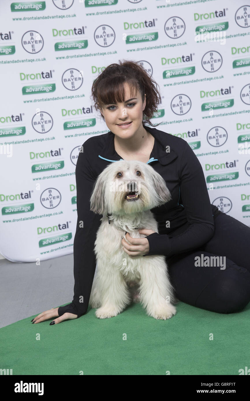 Crufts 2016 Foto Stock