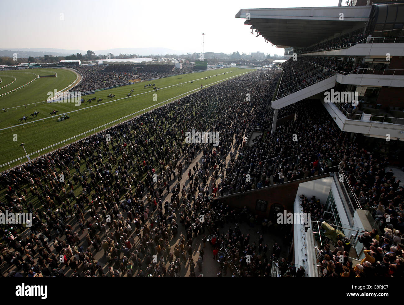 Corridori e corridori nella finale di Pertemps Network durante il giovedì di San Patrizio al Cheltenham Festival 2016 all'ippodromo di Cheltenham. Foto Stock