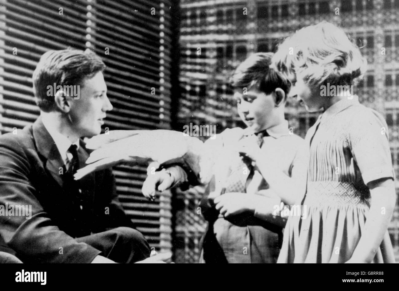 David Attendborough (l) guarda come il principe Charles e la principessa Anne fanno amicizia con Cocky, un cockatoo portato indietro dalla sua ultima spedizione Zoo quest. I bambini reali erano in visita non ufficiale ai BBC Television Studios di Lime Grove, Londra. Avevano appena guardato il programma per bambini 'Studio e' in cui Cocky era apparso. *NEG corrotto, scansionato dal contatto Foto Stock