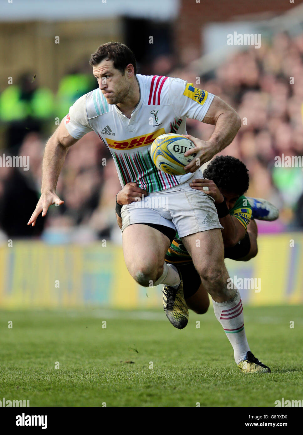 Northampton Santi v arlecchini - Aviva Premiership - Franklin's Gardens Foto Stock