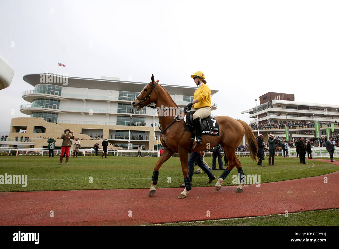 OH Crick guidato da Holly Nicholson durante la riqualificazione dei cavalli da corsa durante il Champion Day al Cheltenham Festival 2016 all'ippodromo di Cheltenham. Foto Stock