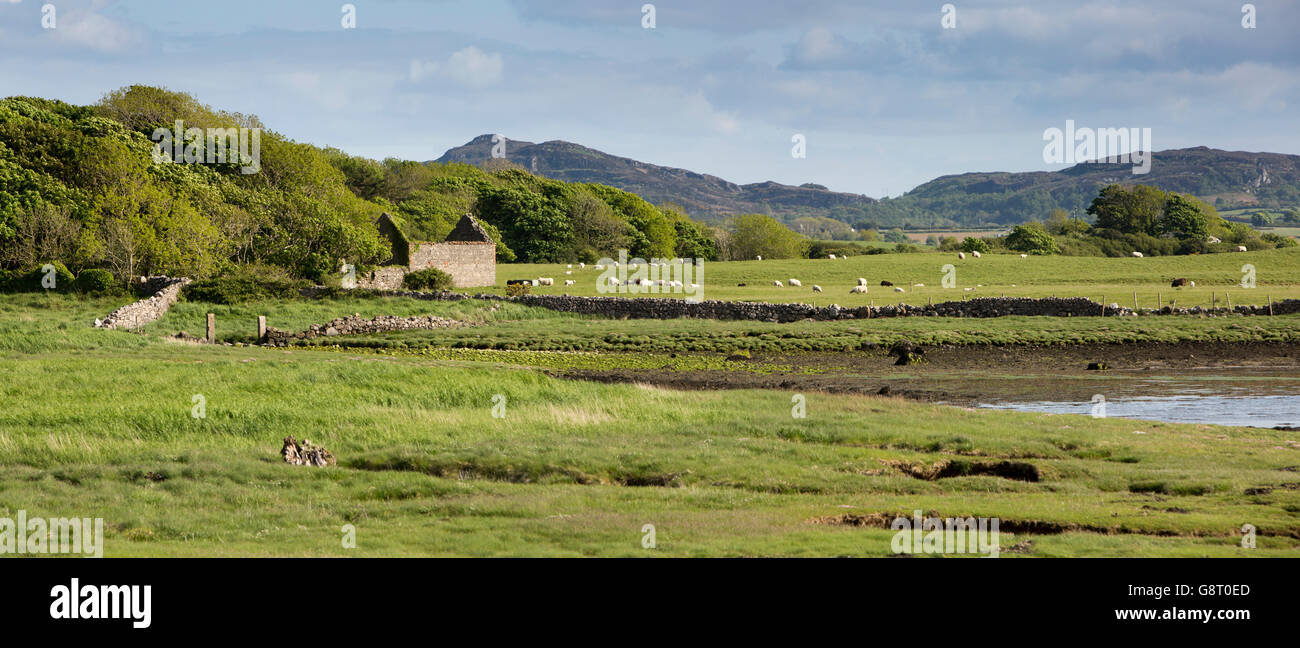 Irlanda, Co Sligo Strandhill, terreni agricoli accanto a Ballysadare Bay verso Knockalongy Foto Stock