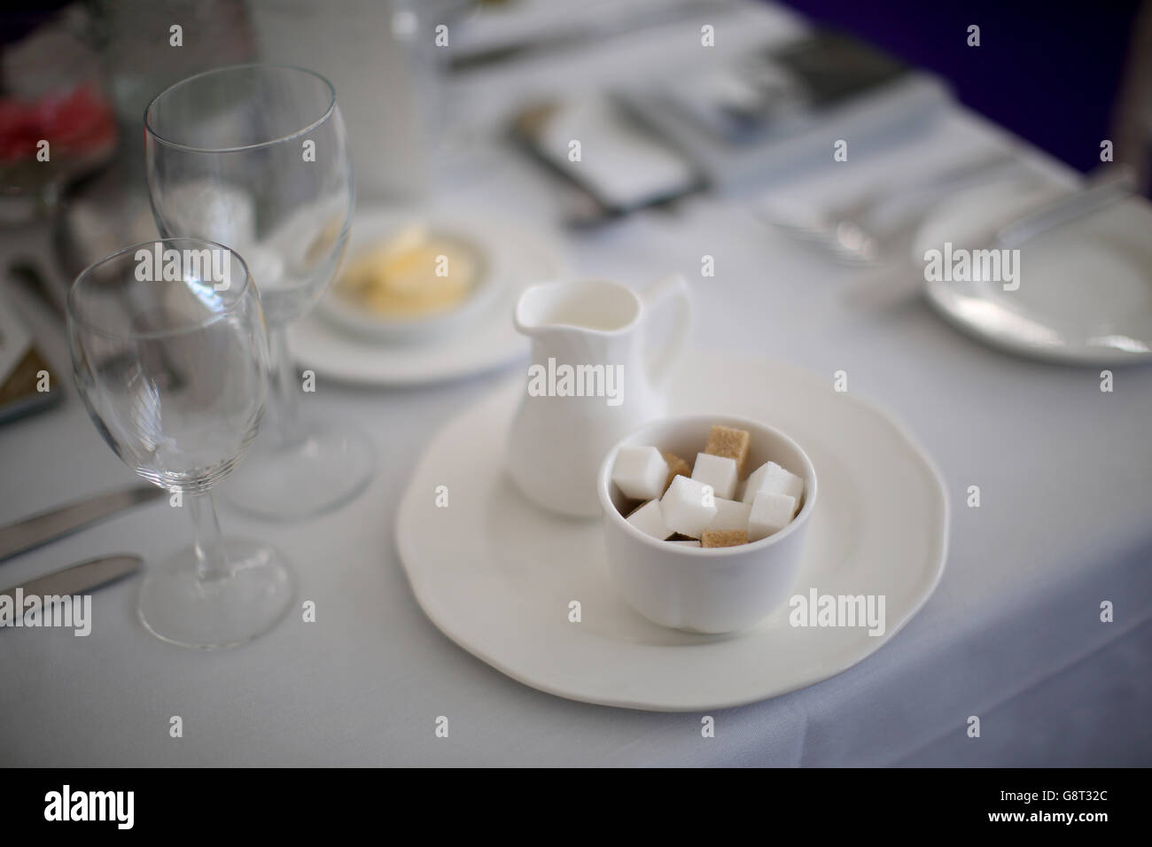 2016 Cheltenham Festival - Ladies Day - Ippodromo di Cheltenham. Ospitalità a Denman Drive Foto Stock