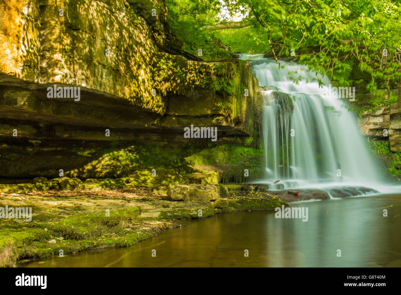 Calderone Falls è una cascata su Walden Beck vicino al villaggio di West Burton Foto Stock