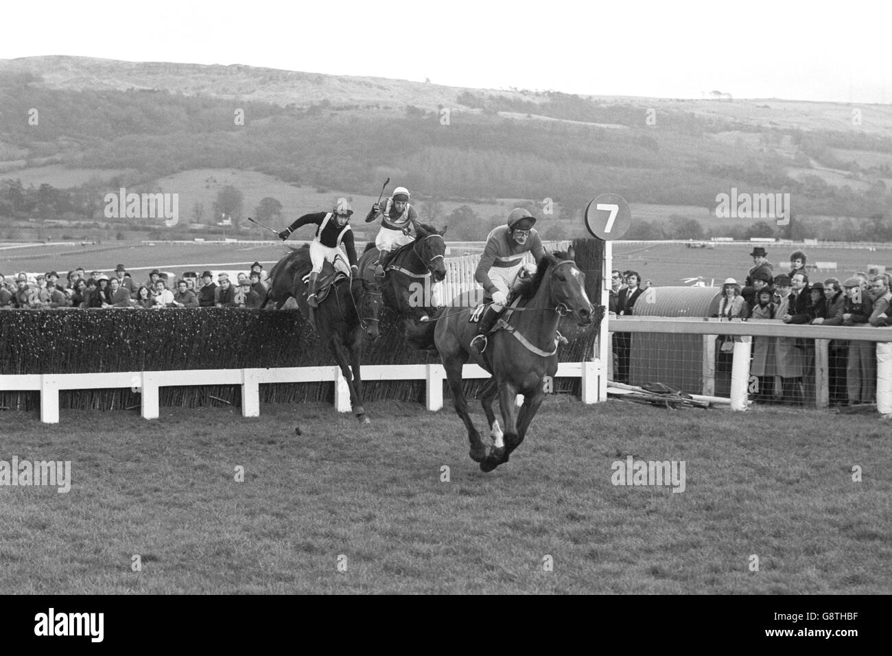 Cheltenham Gold Cup Foto Stock