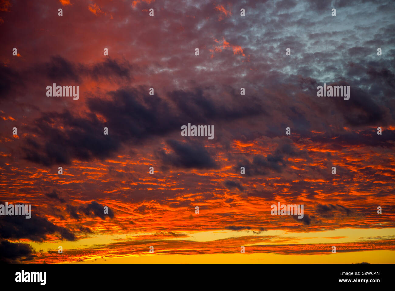 Viva il tramonto in Sag Harbor, NY Foto Stock