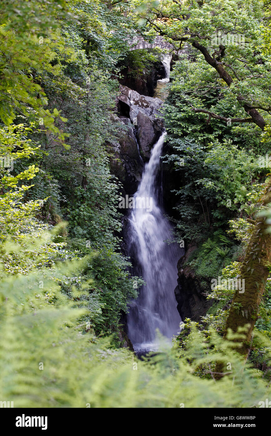 Aira Force, una cascata nel Lake District inglese, nella parrocchia di Matterdale, nella contea di Cumbria, Regno Unito Foto Stock