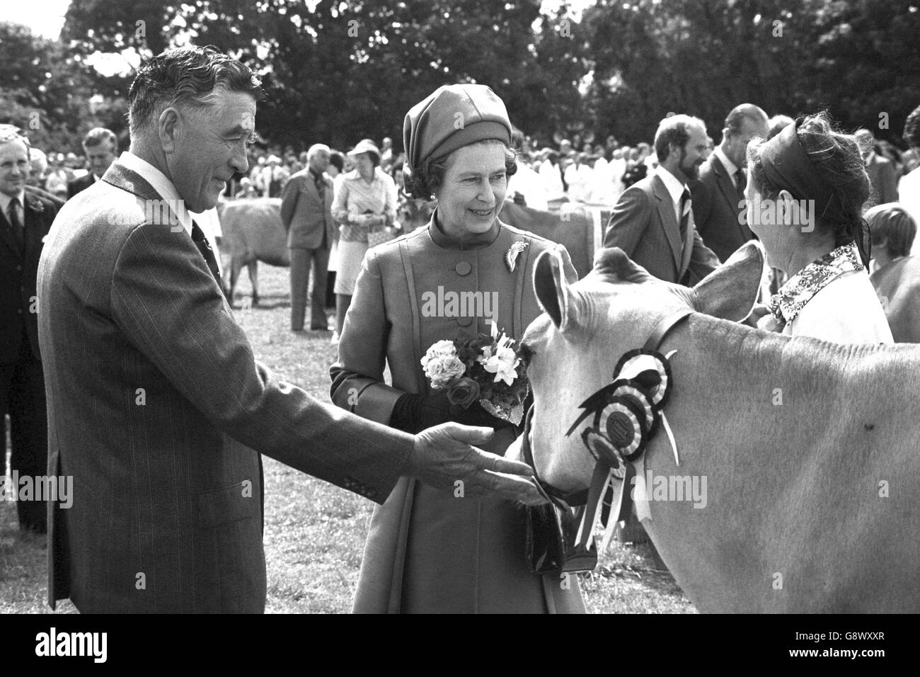 La regina Elisabetta II ammira la mucca di Jersey Ansom Dienette, che le è stata presentata dal governo di Jersey il primo giorno della sua visita di quattro giorni alle Isole del canale. Foto Stock