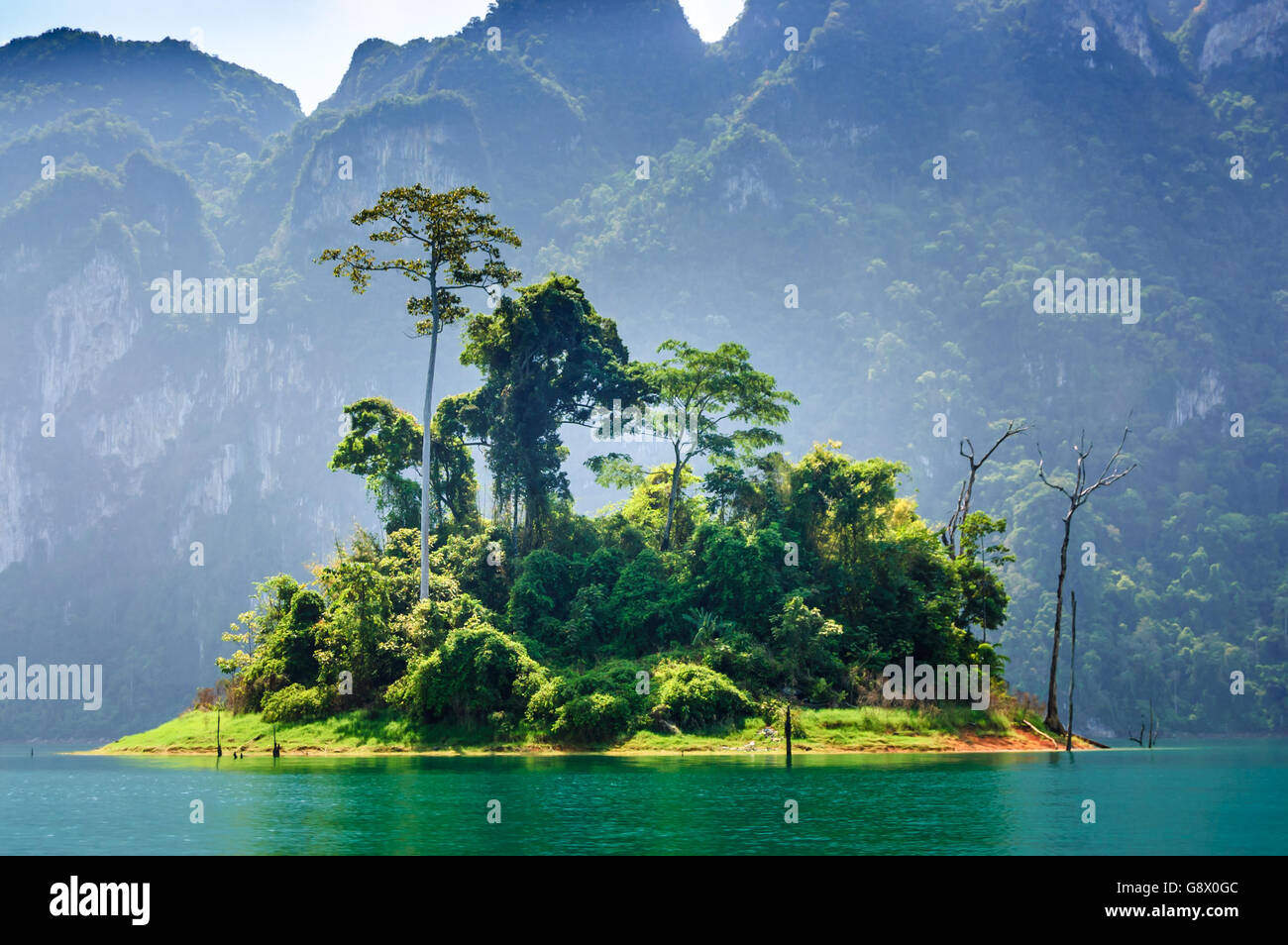 Una lussureggiante isola sulla lan cheow lago nel cuore di Khao Sok national park, Surat Thani provincia, nel sud della Thailandia Foto Stock