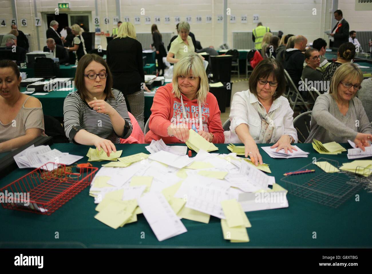 I volontari del conteggio ordinano le schede di voto mentre arrivano per essere contati al centro di Bush di Latton, la via meridionale, Harlow, Essex, poichè il conteggio comincia attraverso il Regno Unito nelle elezioni del consiglio locale. Foto Stock