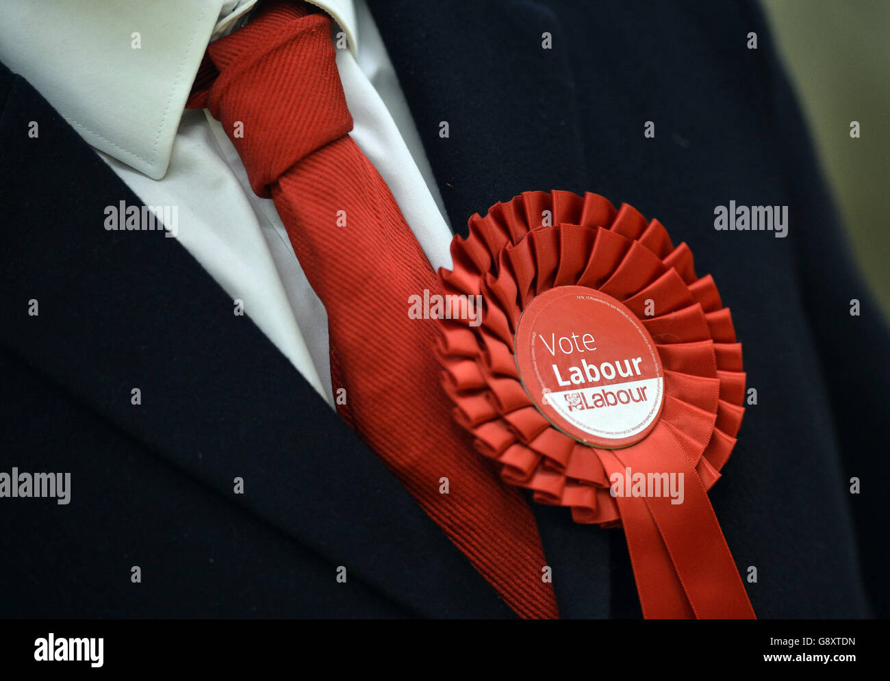 Un sostenitore del Partito laburista indossa una rosetta a sostegno del partito politico durante il conteggio delle elezioni per Basildon al Villaggio Sportivo di Basildon, Essex. Foto Stock