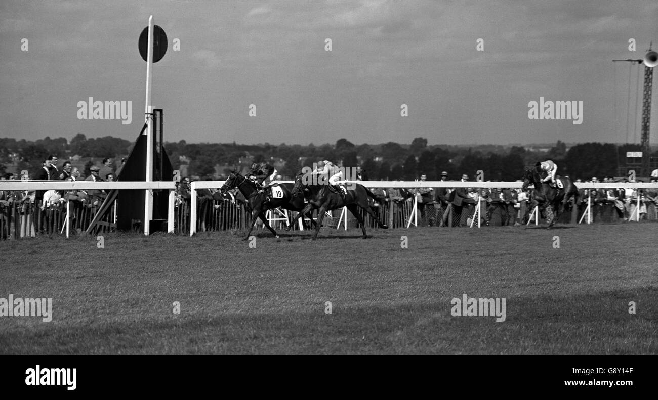 La piastra per handicap per vivai Hampton (S). Il finale, vinto da "Fairey Delta" di G. Strakosch (19) (V. Gardner) da 'Phoenix Park' (8) (D. Ryan) e 'Djeblina' (6) (S. Smith). Foto Stock