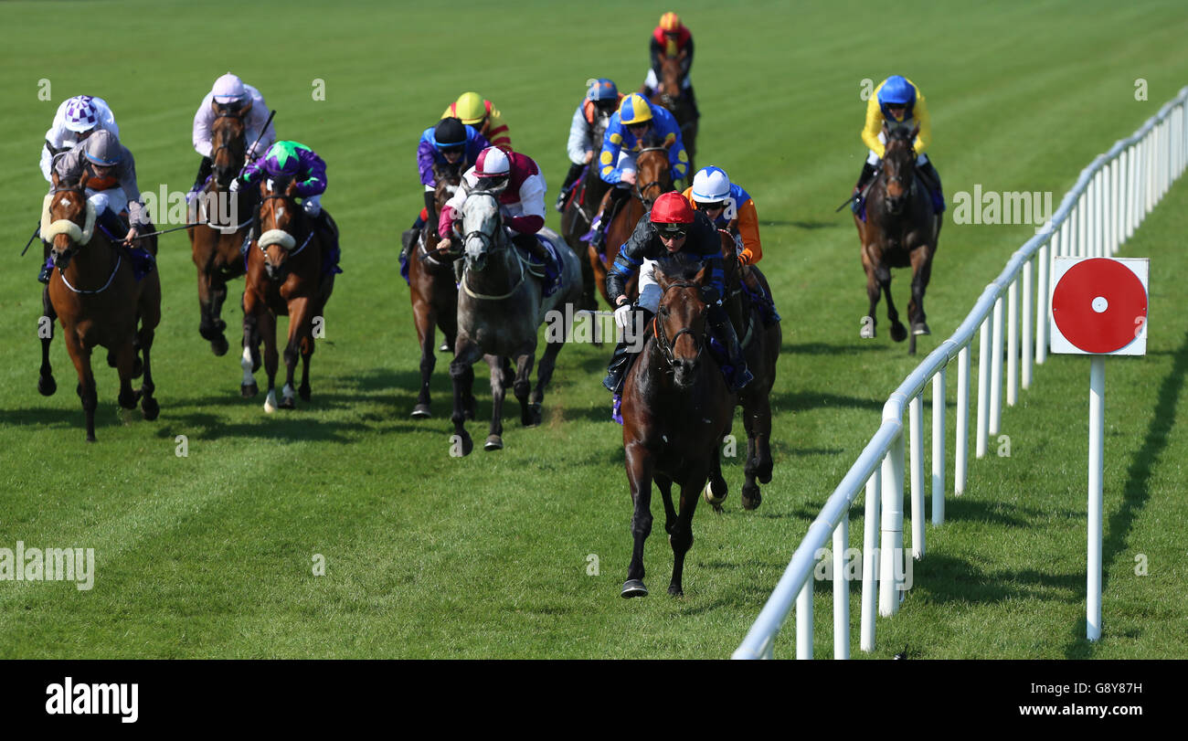 DONT BOTher Me ridden by Seamus Heffernan vince il John R Fitzpatrick Agricultural Contractor handicap durante il Derrinstown Stud Derby Trial Day all'ippodromo di Leopardstown, Dublino. Foto Stock