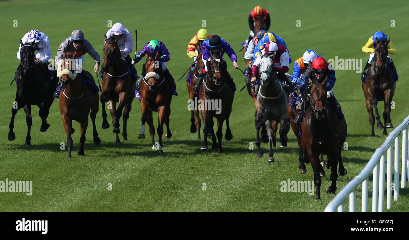 DONT BOTher Me ridden by Seamus Heffernan vince il John R Fitzpatrick Agricultural Contractor handicap durante il Derrinstown Stud Derby Trial Day all'ippodromo di Leopardstown, Dublino. Foto Stock
