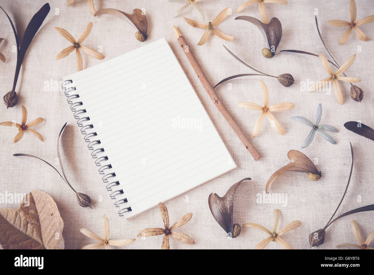 Notebook con fiori e semi, autunno sfondo tonificante Foto Stock