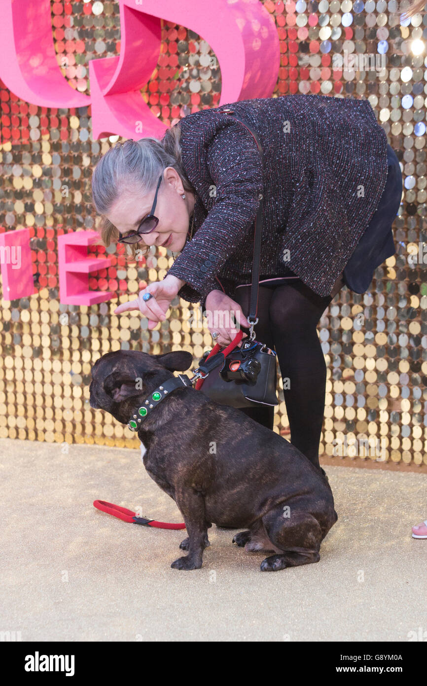 Londra, Regno Unito. Il 29 giugno 2016. L'attrice Carrie Fisher con il suo cane Gary. Premiere mondiale di assolutamente favoloso - il filmato nel cuore di Leicester Square. Credito: Immagini vibranti/Alamy Live News Foto Stock