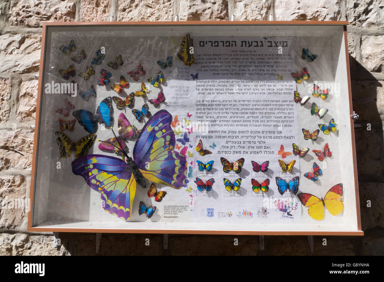 Gerusalemme, Israele. Il 30 giugno, 2016. Bordo descrivendo in ebraico tutte le specie di farfalle utilizzati presso le prestazioni in Bezaleel street. Credito: Valentin Sama-Rojo/Alamy Live News. Foto Stock