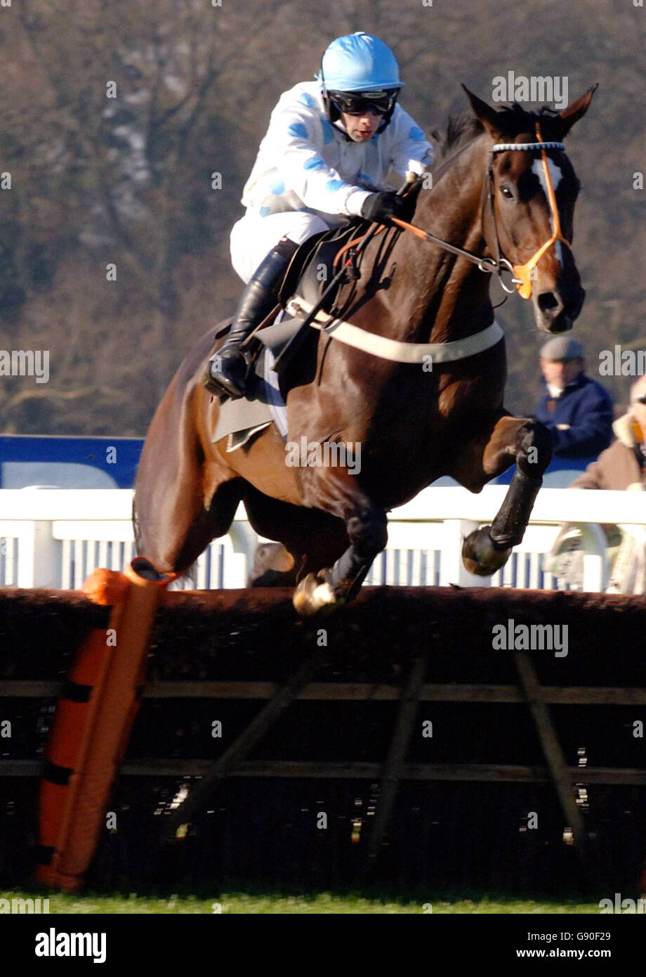 Oscar Park con il fantino Tom Doyle salta l'ultimo recinto per vincere l'hurtdle dei novizi alle gare all'ippodromo di Windsor, venerdì 18 novembre 2005. PREMERE ASSOCIAZIONE foto. Il credito fotografico dovrebbe essere: Sean Dempsey/PA. Foto Stock