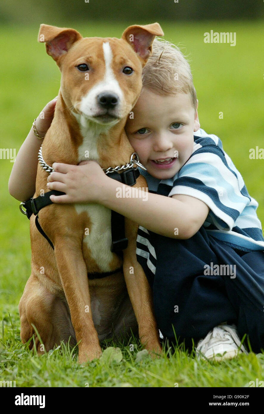 Jack Sorrell di quattro anni con il suo cane da compagnia mia, un 7 mesi di Staffordshire Bull Terrier, mercoledì 26 ottobre 2005 che lo ha salvato da gravi lesioni. Jack cadde in un tombino vicino alla sua casa a Tunbridge Wells, Kent, ma fu salvato dal cadere ulteriormente da mia tenendolo in testa. Vedere PA storia INCIDENTE cane. PREMERE ASSOCIAZIONE foto. Il credito fotografico dovrebbe essere: Gareth Fuller/PA Foto Stock