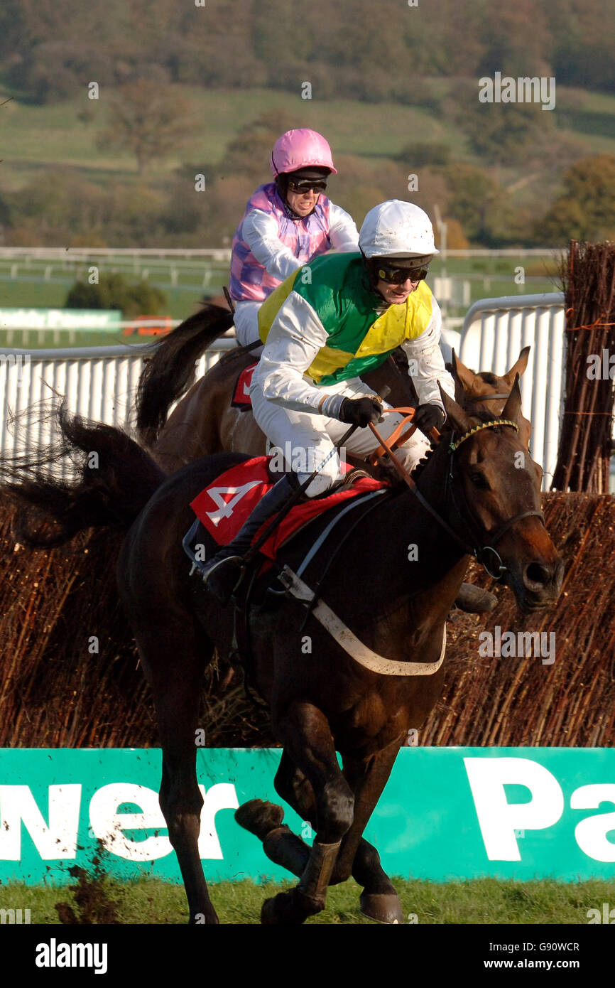 Crozan guidato dal jockey Marcus Foley salta l'ultimo sulla strada per vincere la Jim Brown Memorial Novices' Chase al Cheltenham Racecourse, Cheltenham, sabato 12 novembre 2005. PREMERE ASSOCIAZIONE foto. Il credito fotografico dovrebbe essere: Barry Batchelor/PA. Foto Stock