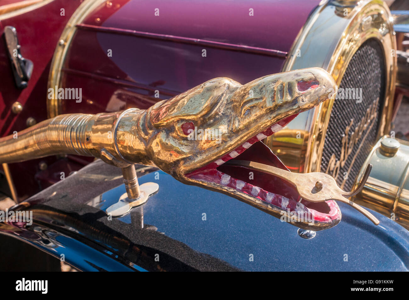 Avvisatore acustico Snake dettaglio del 1904 Cottereau veterano della macchina - Francia. Foto Stock