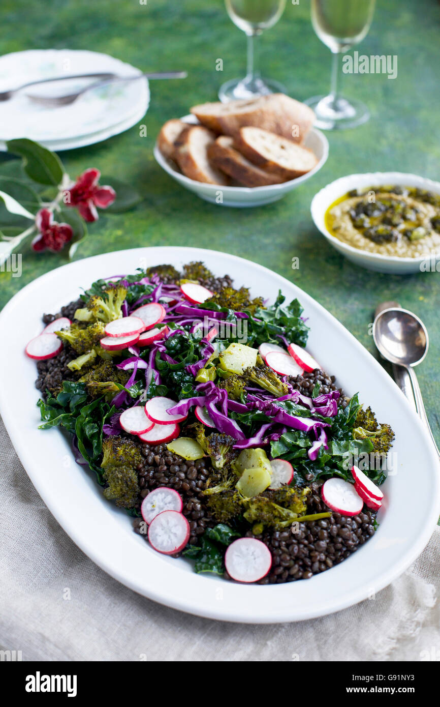 Lenticchia nera Cavolo broccoli insalata con broccoli carbonizzati Pesto. Su un verde, giallo e blu. Fotografato dalla parte anteriore vi Foto Stock