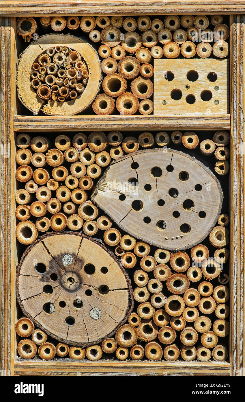 Bee hotel, un nesting artificiale aiuto, che offrono rifugio e nidificazione di attrezzature per le api solitarie Foto Stock