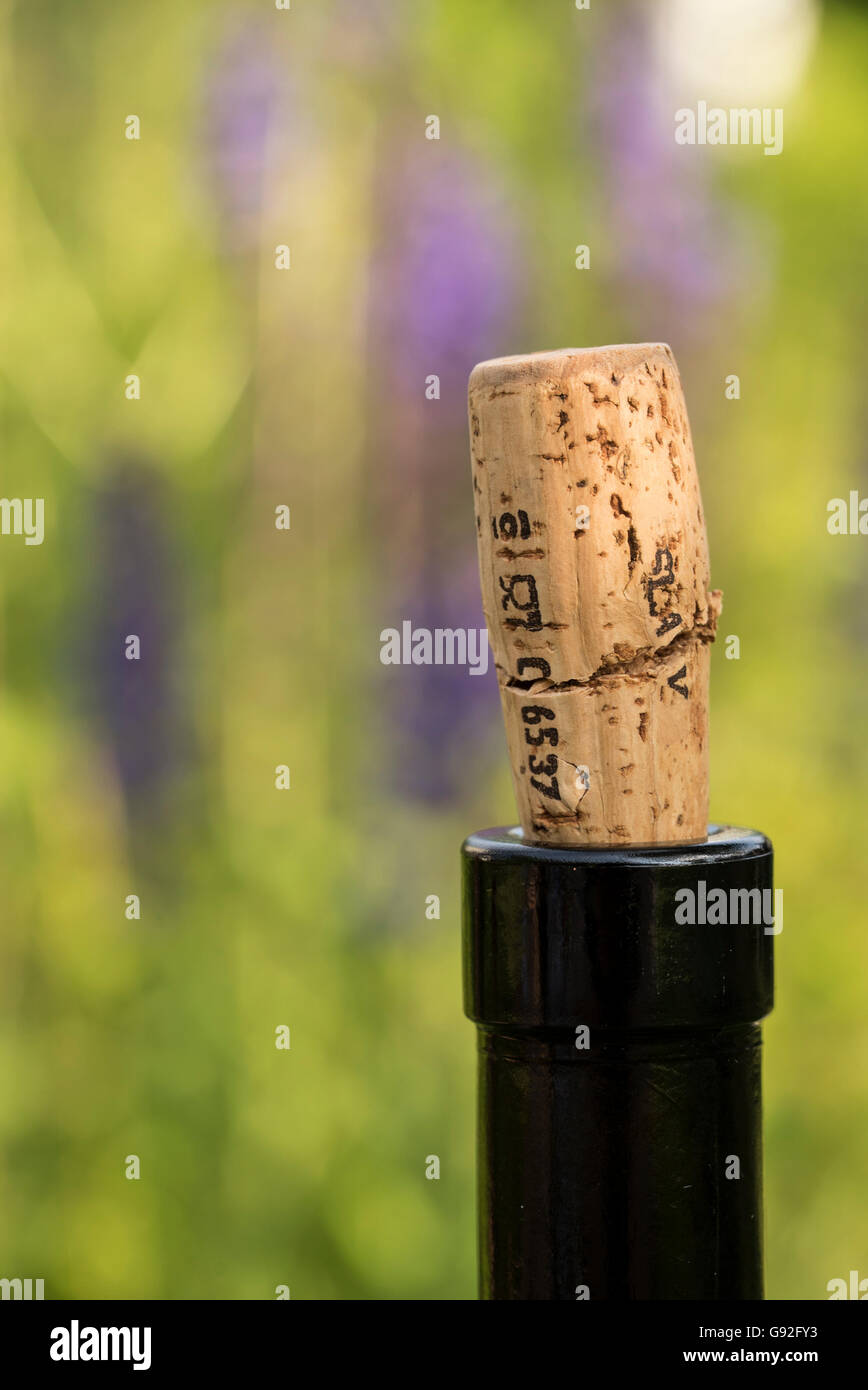 Bottiglia di vino e sughero nella natura Foto Stock