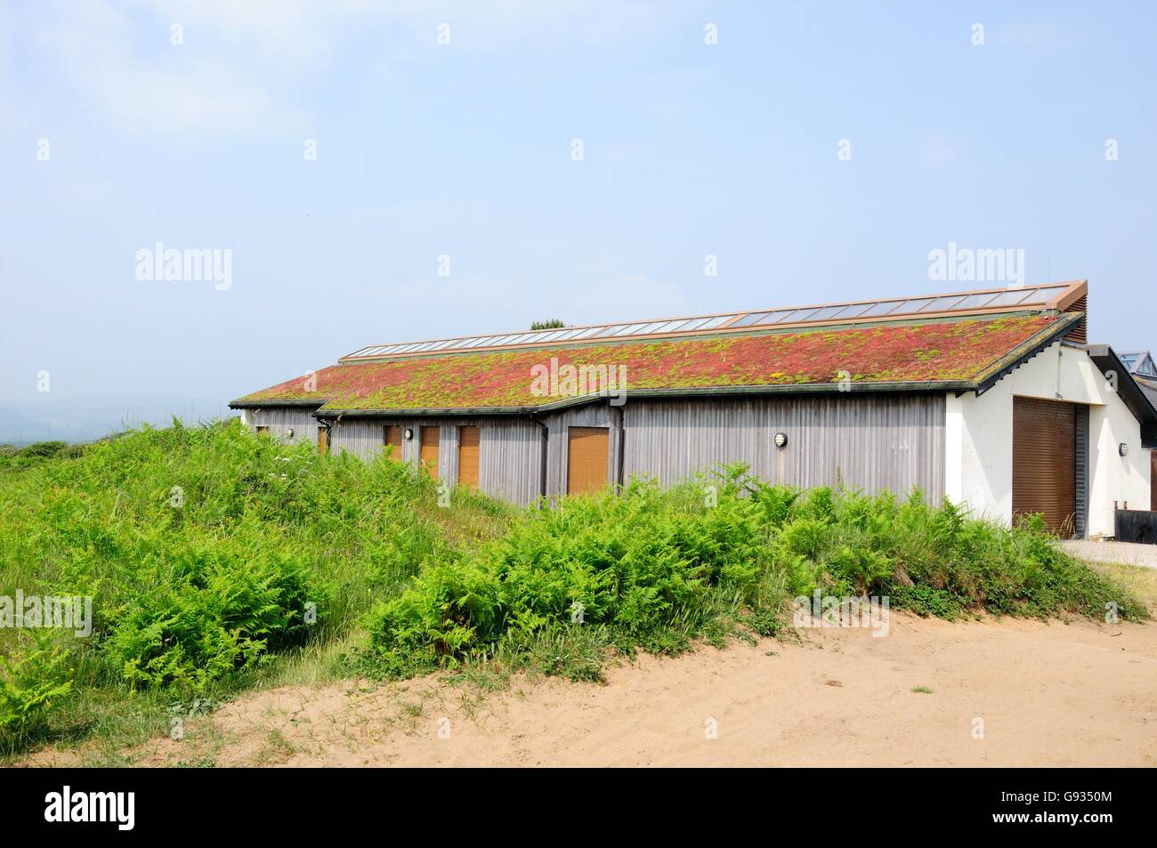 Eco vivente del tetto il tetto coperto di piante di sedum Kenfig Riserva Naturale Nazionale Bridgend Galles Foto Stock