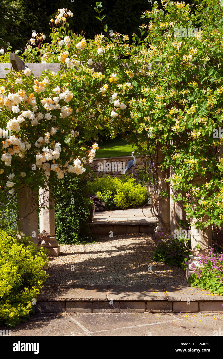 Regno Unito. Un giardino arch con rose e caprifoglio e patio al di là. Foto Stock