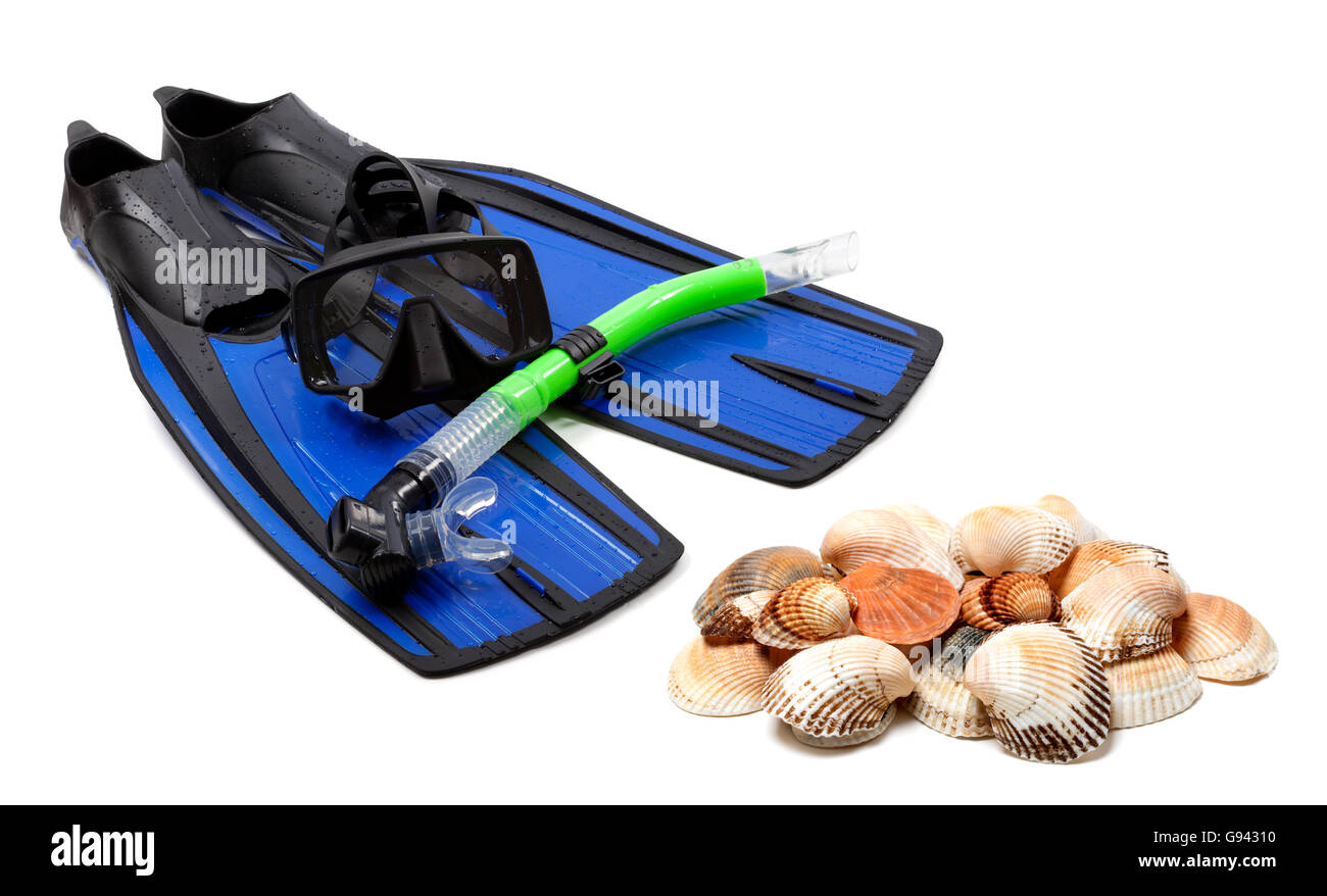 Attrezzatura per immersioni e conchiglie isolati su sfondo bianco Foto Stock