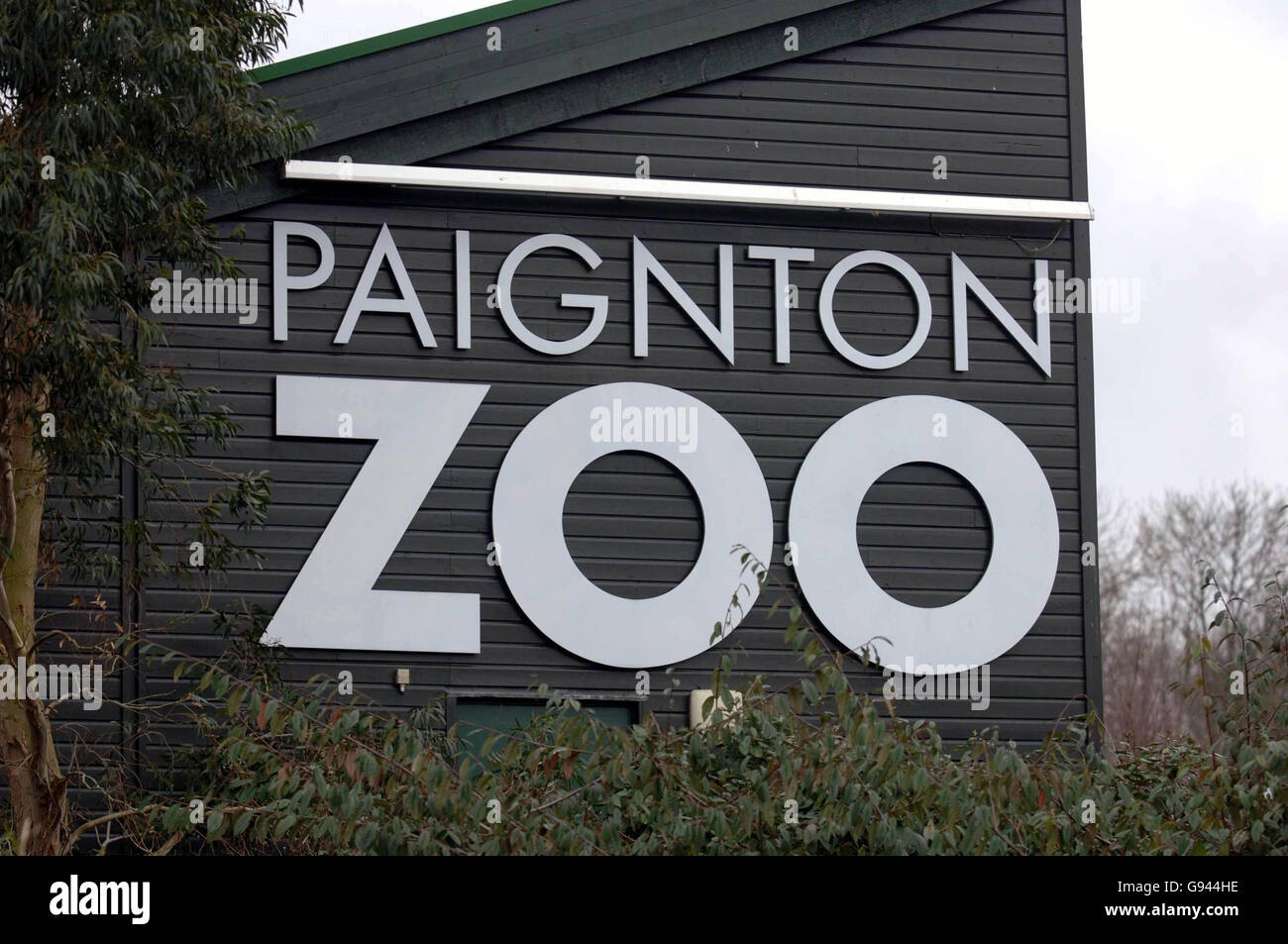 Cartello dello zoo di Paignton, lunedì 13 febbraio 2006. Due giraffe - Kizi e il suo vitello di sei giorni senza nome - sono state uccise in un incendio allo zoo durante la notte. Paddy, il padre del vitello, è stato salvato dal personale dello zoo prima che i fumi lo superarono. La polizia sta indagando sul fuoco, che si ritiene abbia iniziato a letto il fieno nella casa degli elefanti dello zoo. Lo zoo è diventato famoso quando è stato presentato in un documentario fly-on-the-wall della BBC. Guarda le giraffe ANTINCENDIO della PA. Il credito fotografico dovrebbe essere Barry Bachelor/PA. Foto Stock