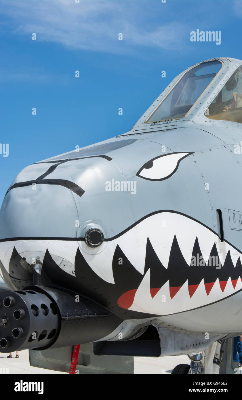 Tico Warbird Air Show Titusville Florida Warthog A-10C Thunderbolt II US Airforce 1980 Foto Stock