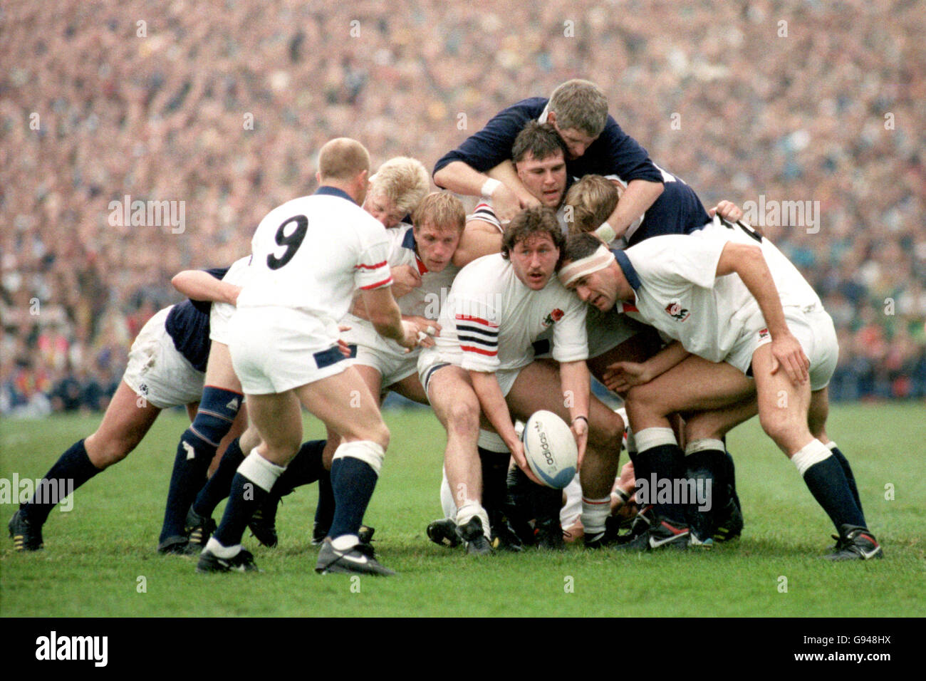 Rugby Union - 1991 Coppa del Mondo di Rugby - Semi finale - Inghilterra v  Scozia - Murrayfield Stadium Foto stock - Alamy