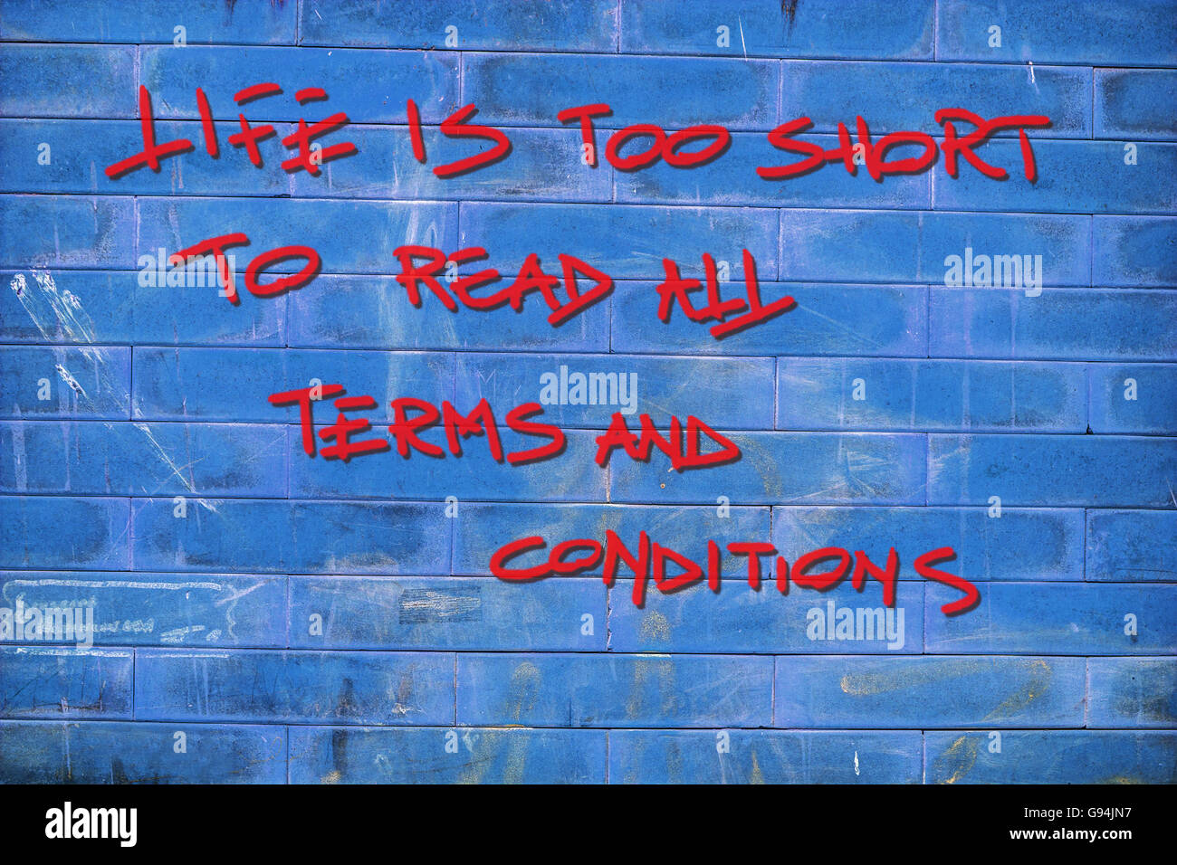 "La vita è troppo breve per leggere tutti i termini e le condizioni" scritto con bomboletta spray su un blu parete di mattoni Foto Stock
