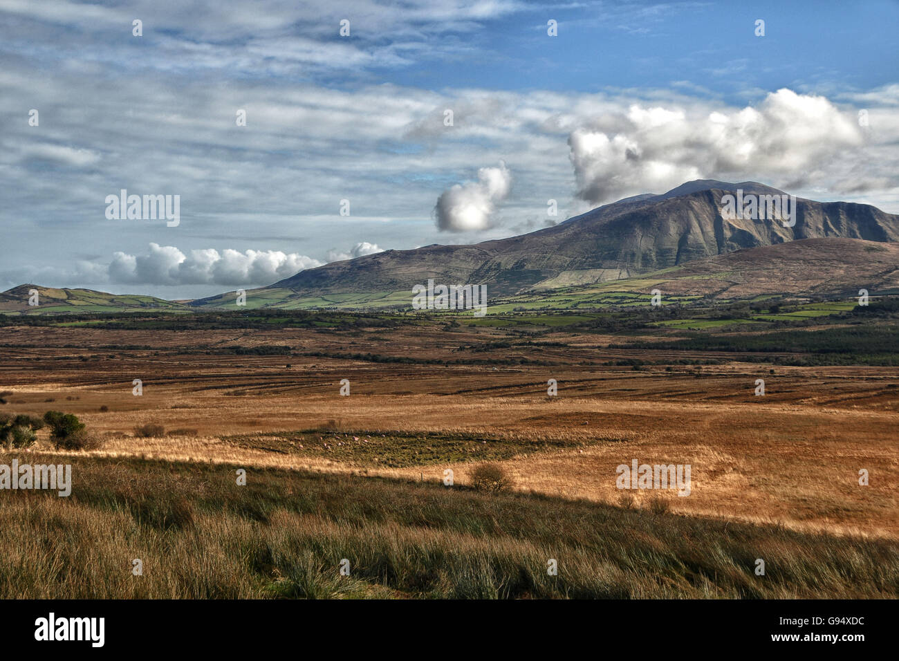 Slieve Mish montagne, Ballyarkane Oughter, penisola di Dingle, nella contea di Kerry, Irlanda Foto Stock
