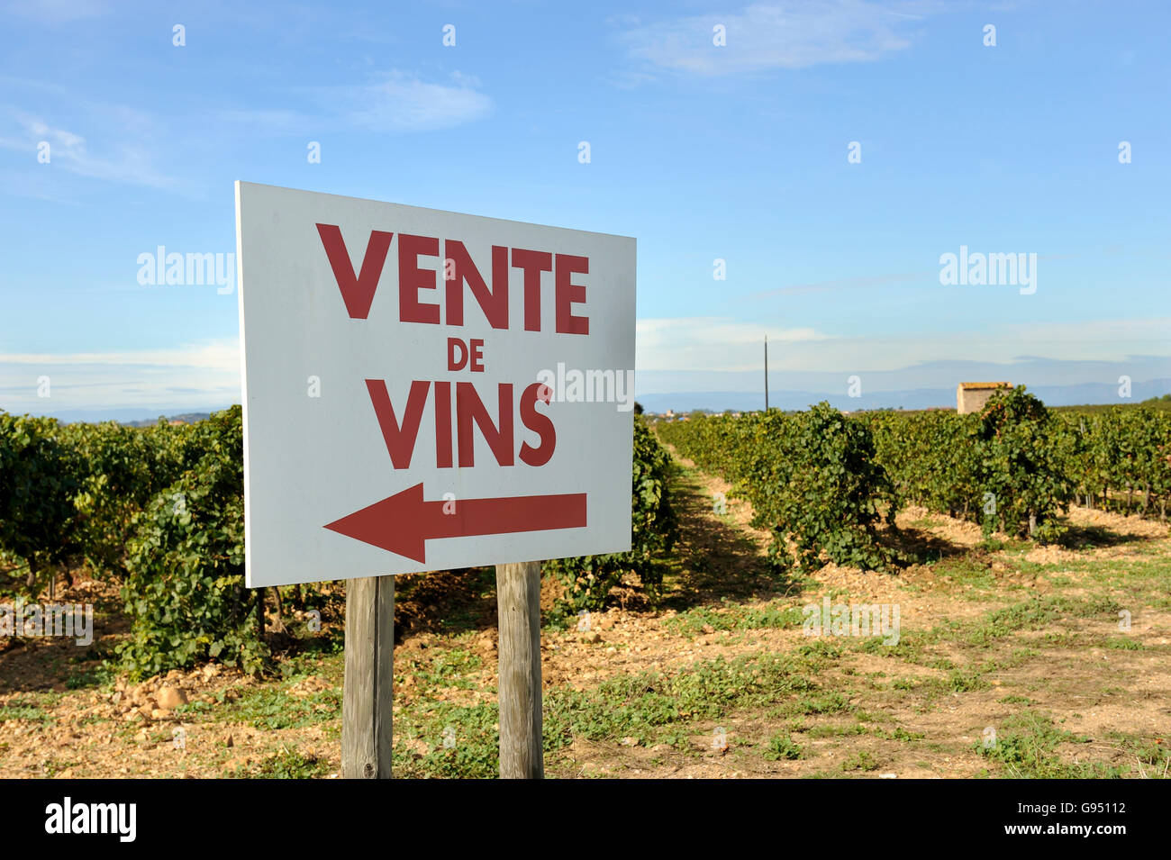 "Ign su un vigneto con il testo francese "Vente vins' significa che la vendita di vino Foto Stock