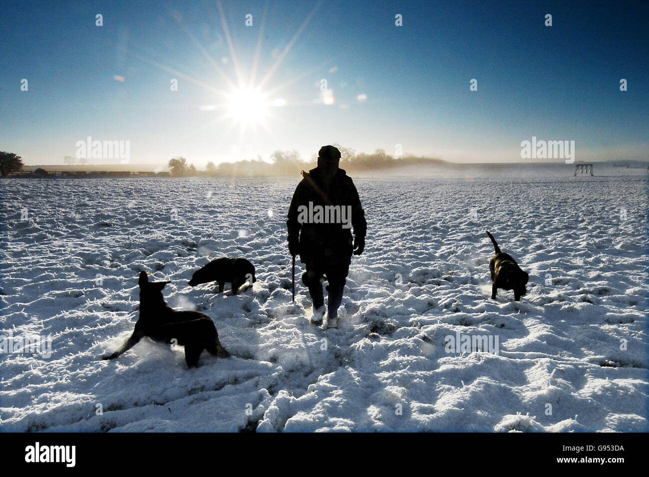Un uomo cammina i suoi cani attraverso la neve vicino Pickering Mercoledì 28 dicembre 2005. PREMERE ASSOCIAZIONE foto. Il credito fotografico dovrebbe essere: John Giles/PA. Foto Stock