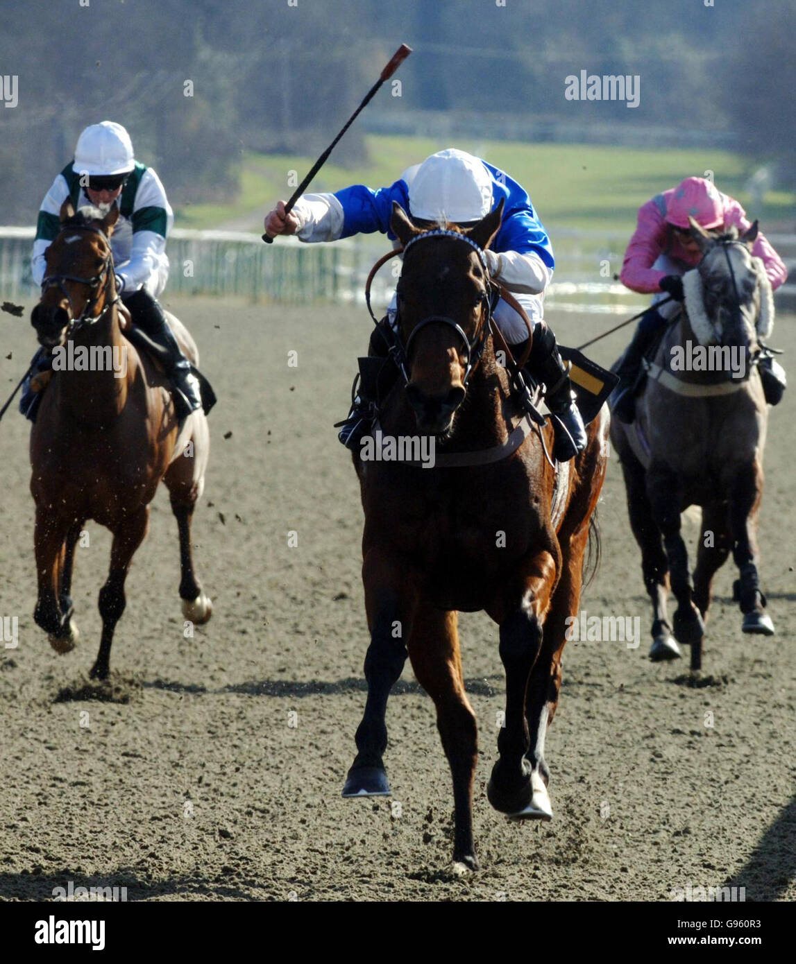 Financial Times ridden da Neil Callan (C) vince il trad sul canale 4 testo 613 Maiden Stakes a Lingfield Park, Surrey, giovedì 2 marzo 3006. PREMERE ASSOCIAZIONE foto. Il credito fotografico dovrebbe essere: Sean Dempsey/PA. Foto Stock