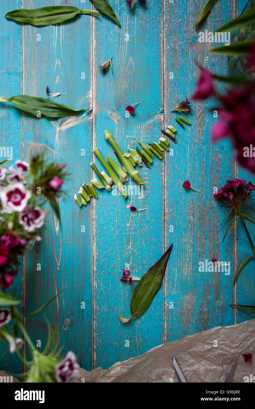 Immagine di Floristry di lifestyle con fiori dolci del William, vita di paese, per alberino del blog, mezzi sociali, bollettino, Piccole aziende, supporti stampati Foto Stock
