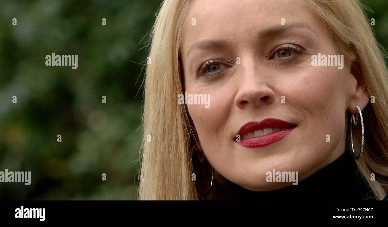 Pietra SHOWBIZ Foto Stock