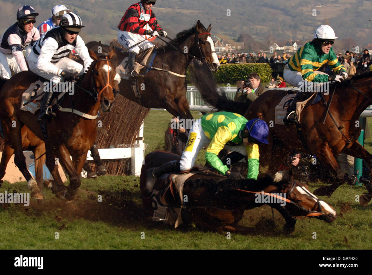 RACING Cheltenham Foto Stock