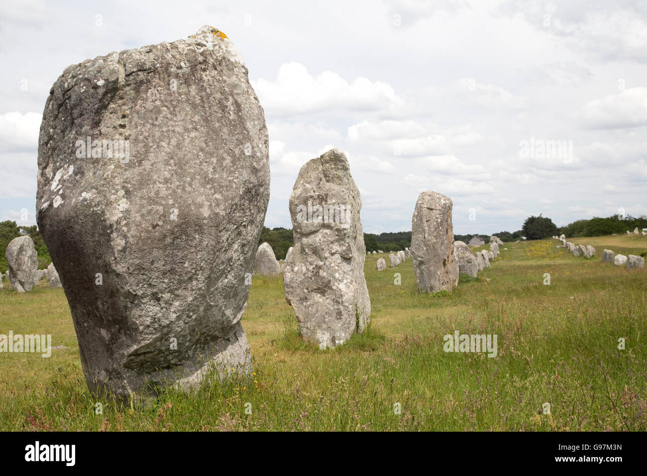 Carnac pietre al sito megalitico allineamenti Menec Carnac Bretagna Francia Foto Stock