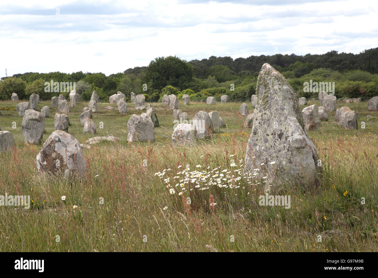 Carnac pietre al sito megalitico allineamenti Menec Carnac Bretagna Francia Foto Stock