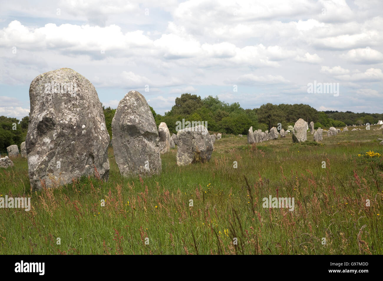 Pietre permanente al sito megalitico allineamenti Menec Carnac Bretagna Francia Foto Stock