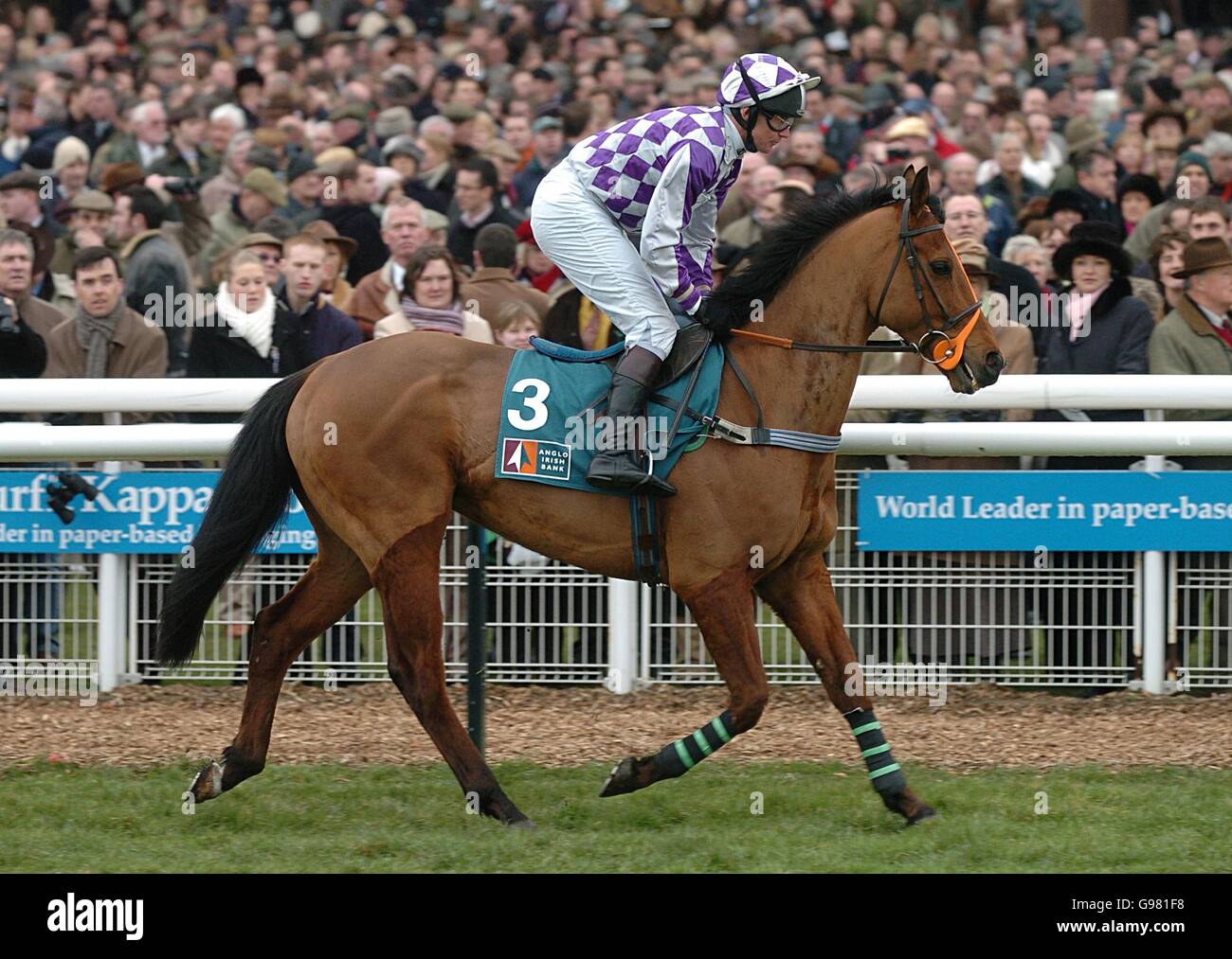 Corse di cavalli - Cheltenham Festival - Smurfit Champion Hudle Day - Cheltenham Racecourse. Crow Wood indovinato da Russ Garritty va a posto nella Anglo Irish Bank Supreme Novices' Hurdle (grado 1) Foto Stock