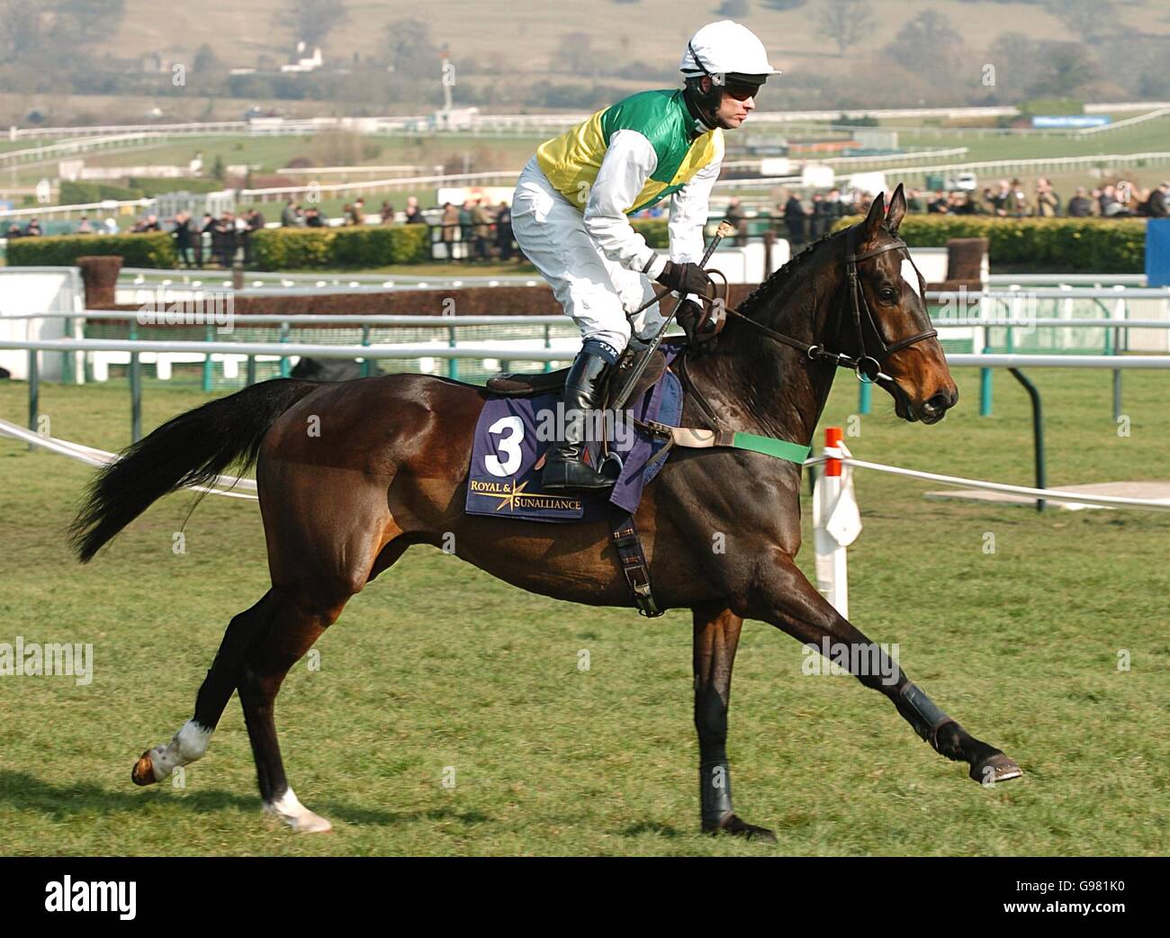 Horse Racing - Cheltenham Festival - Regina Madre Campione Inseguimento giorno - Cheltenham Racecourse Foto Stock